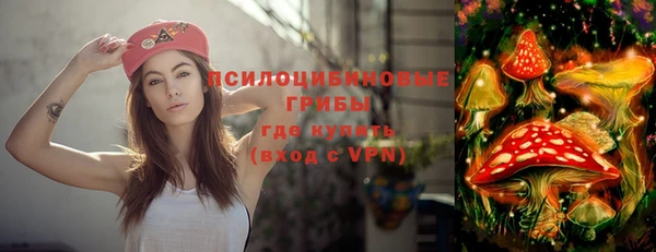дмт Бородино