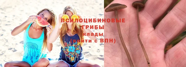 дмт Богородск