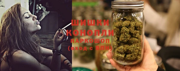 дмт Богородск