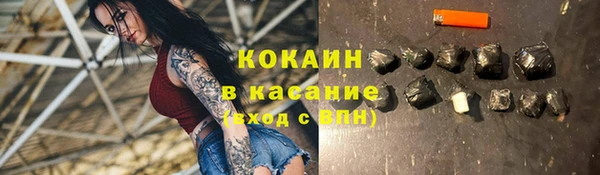 дмт Бородино