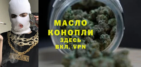 дмт Бородино