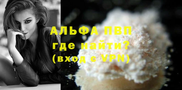 дмт Бородино