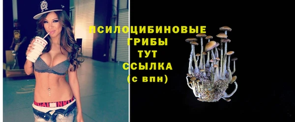 гашишное масло Богданович