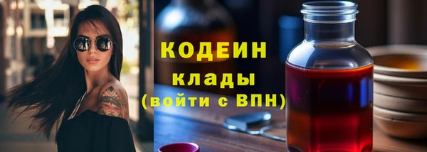 дмт Богородск