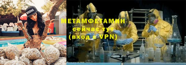 дмт Бородино