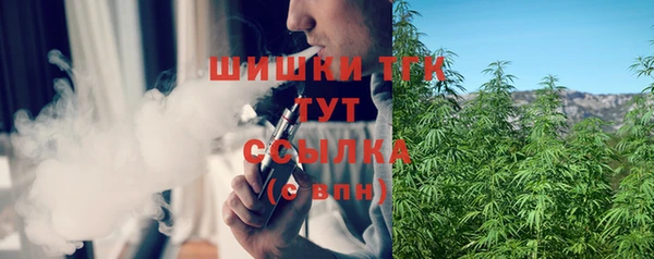 молекула духа Навашино