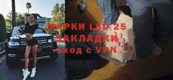 дмт Бородино