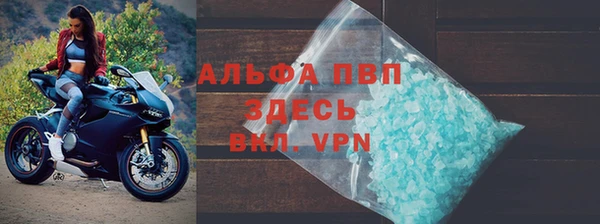 дмт Бородино